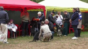 Тахакиро Восточный Охотник