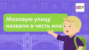Дети спрашивают: «Моховую улицу назвали в честь мха?»