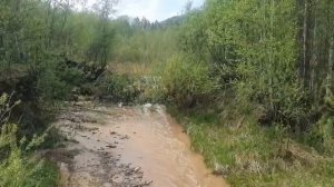 Загрязненная река Рудная