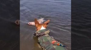 Интересно  они все такие?
