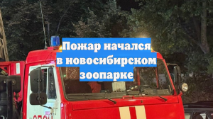 Пожар начался в новосибирском зоопарке