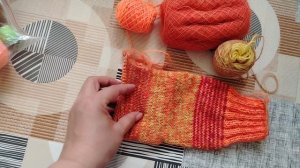 СП "Носочный календарь 2025"/сентябрь/Осенний блюз/участник 23.