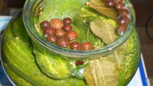 Маринованные соленые огурцы