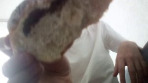 VID_20250924_143233.mp4