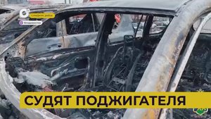 Автопатруль112 / Сбил на переходе / Сбили медведя / "Чёрный" банкир / 24.09.25