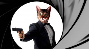 Кот, Джеймс Кот #Кот #Животные #Агент007 #Смех #Юмор #Ржака