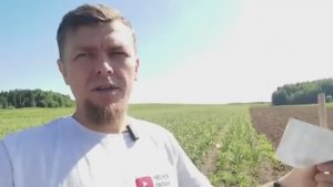 СИСТЕМА ВЫЯВЛЕНИЯ НЕЭФФЕКТИВНЫХ СОТРУДНИКОВ