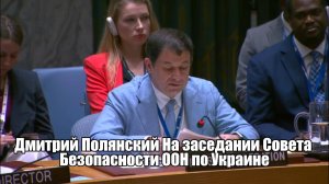 🔊 Дмитрий Полянский На заседании Совета Безопасности ООН по Украине