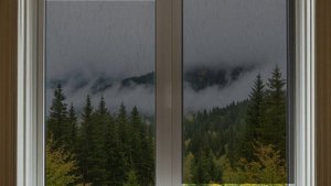 Звук природы для сна. Дождь. Природа. Дождь без грома. Релакс 1 час