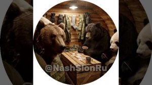 Доброго всем денёчка.