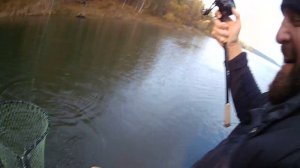 Сама залетела в подсак!