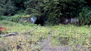 Заброшенные объекты: Зил 131, штольни, неизвестный объект. Абхазия