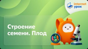 Строение семени. Плод. Видеоурок по биологии 6 класс