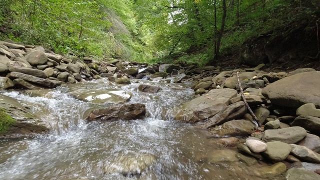 Гороховая балка