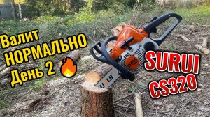 Бензопила SURUI CS 320 валит деревья. Маленький монстр. День 2