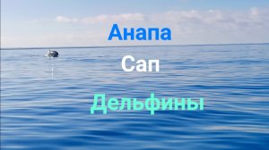 Анапа 24.09.2025 Сап Море и Дельфины