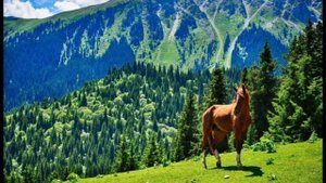 Кыргызстан 🇰🇬💫♥️ Песня: Мирбек Атабеков - Мурас