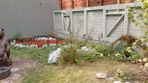 1000005552.mp4 Новосибирский зоопарк