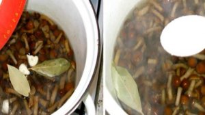 Маринованные опята без закатки