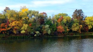 КРАСКИ ОСЕНИ НА ПРОРВЕ