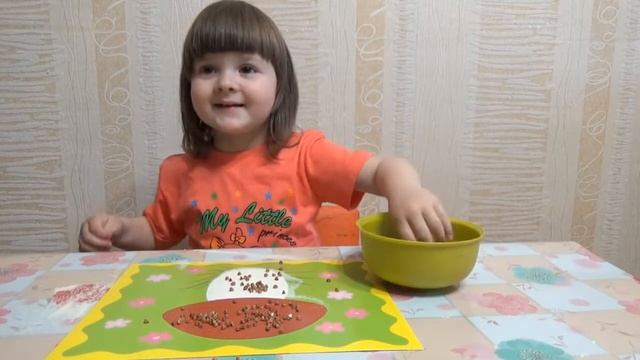 Аппликация с крупой, ватой, бумагой, вермишелью