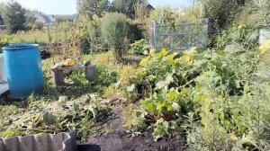 Новый салат на зиму. Осень радует новыми красками.🍂🍂🍂