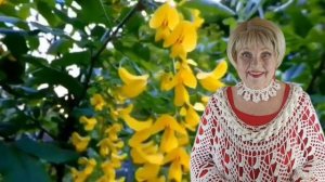 ,,С ручейка начинается Волга"Валентина Собанцева засл.арт.России