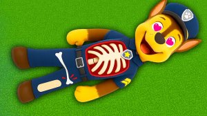 Я СДЕЛАЛ ОПЕРАЦИЮ В МАЙНКРАФТЕ ГОНЩИКУ ЩЕНЯЧИЙ ПАТРУЛЬ!