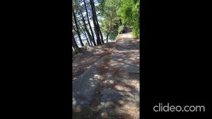 Отпуск Абхазия 2024 ролик