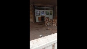 1000006330.mp4 Фотографии сделанные в Новосибирском зоопарке имени Ростислава Шило