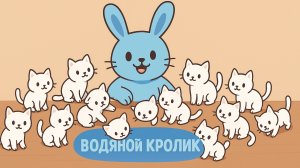 Обзор коллекции игрушечных кошек