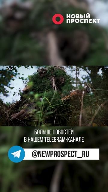 НАТО готовят провокации в Молдавии смотреть онлайн