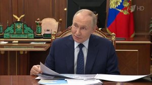 Развитие Запорожской области Владимир Путин обсудил с главой региона