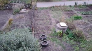 24-09-2025 осень, убирались на огороде