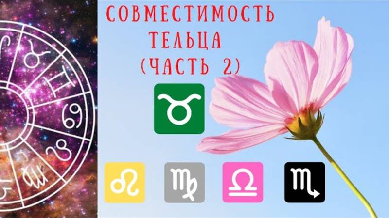 Совместимость знаков зодиака: Телец и Лев, Телец и Дева, Телец и Весы, Телец и Скорпион смотреть онлайн