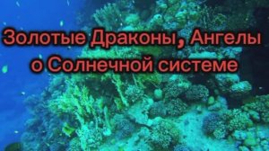 Золотые Драконы, Ангелы о Солнечной системе 10.07.2025г   (79 Послание)