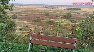 Где снимали сериал Жуки