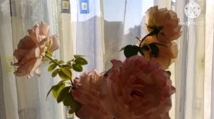 Август 2025☀️Жизнь в Крыму//Семейная игра "Объясни слова за 60 секунд//Готовимся к отъезду