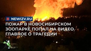 Пожар в Новосибирском зоопарке попал на видео. Главное о трагедии