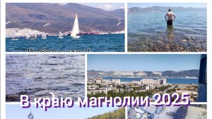 В краю магнолии 2025