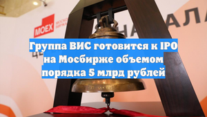 Группа ВИС готовится к IPO на Мосбирже объемом порядка 5 млрд рублей