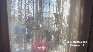 Часовая 11#квартирачмз#часовая11#3-ккв#недвижимость#