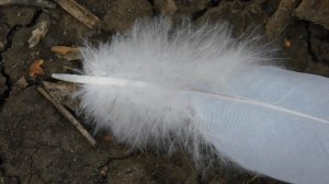 22==09==2025  ПВН  КМР   (89)