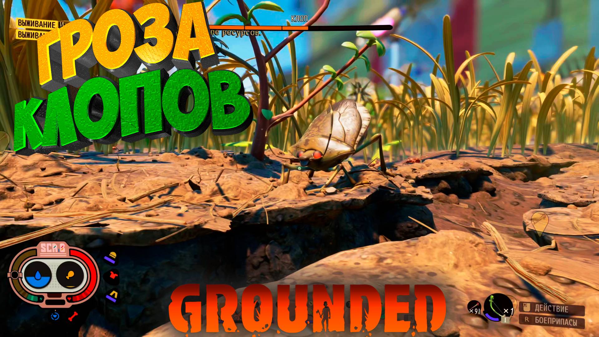 Граундед — День, когда клопы перестали быть страшными