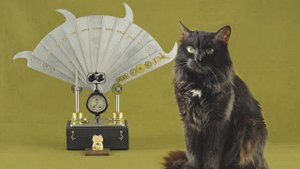 Веер-тэссен Кот. Фотореквизит. 鉄扇