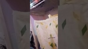 разведение перепелов сборка клеток и опарыш