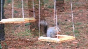 КОЛЛАБОРАЦИИ