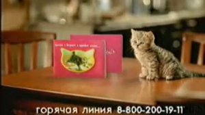 Реклама Whiskas 2004-2005