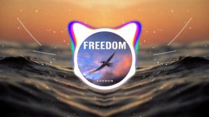 FREEDOM - sxddxn