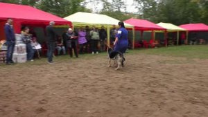 БС Волшебница